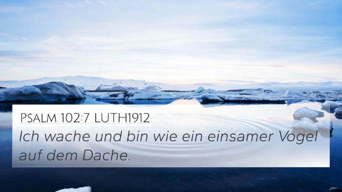 Psalm 102:7 LUTH1912 4K Wallpaper - Ich wache und bin wie ein einsamer Vogel auf dem - 4K Wallpaper Bible Verse