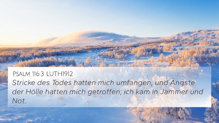 Psalm 116:3 LUTH1912 Bible Verse Image