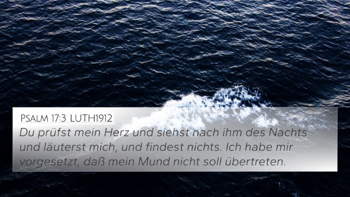 Psalm 17:3 LUTH1912 Bible Verse Image