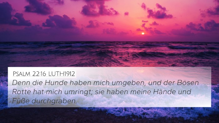 Psalm 22:16 LUTH1912 Bible Verse Image