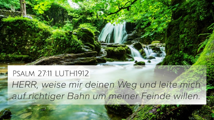 Psalm 27:11 LUTH1912 Bible Verse Image
