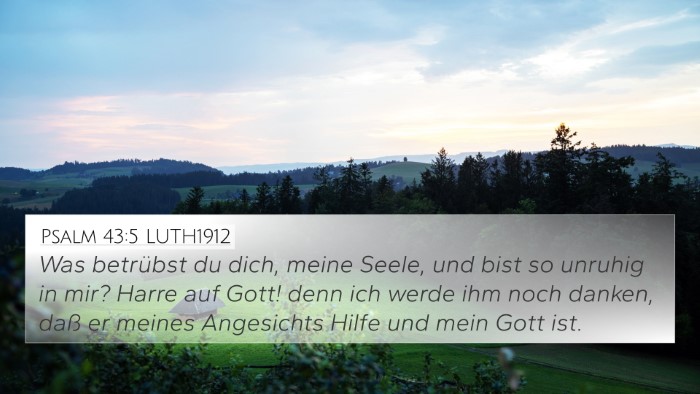 Psalm 43:5 LUTH1912 Bible Verse Image