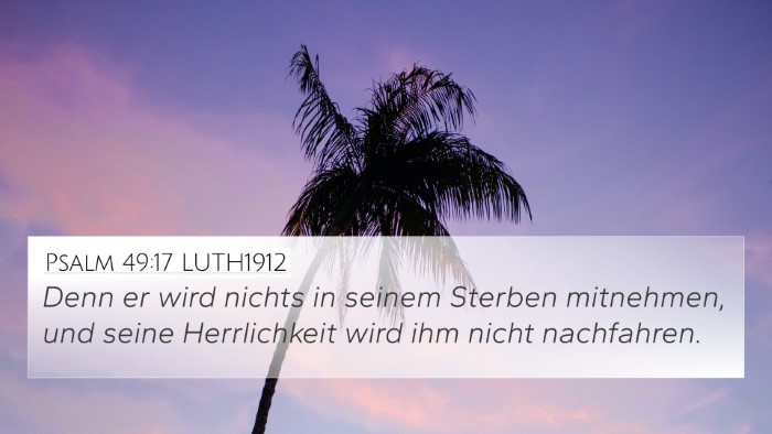 Psalm 49:17 LUTH1912 Bible Verse Image