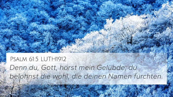 Psalm 61:5 LUTH1912 Bible Verse Image