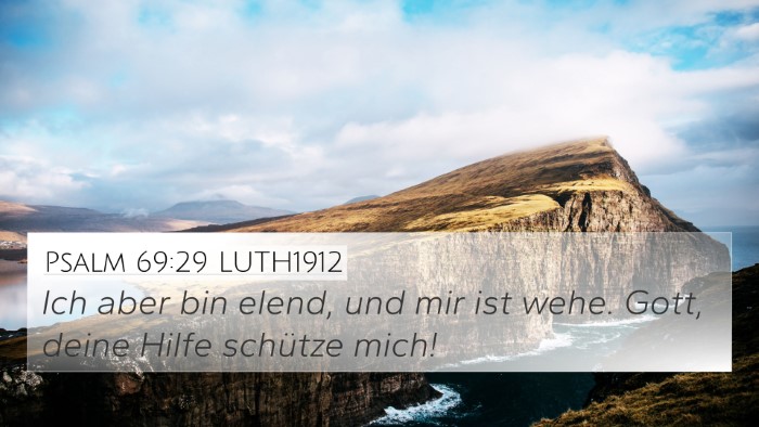 Psalm 69:29 LUTH1912 Bible Verse Image