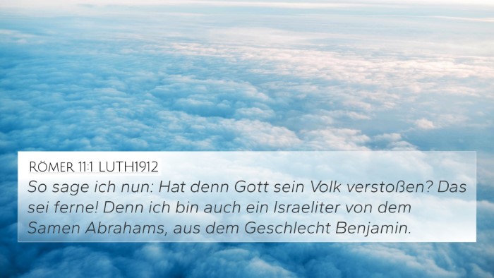 Römer 11:1 LUTH1912 Bible Verse Image