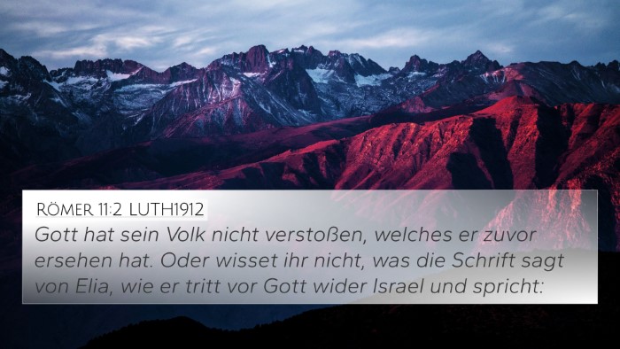 Römer 11:2 LUTH1912 Bible Verse Image