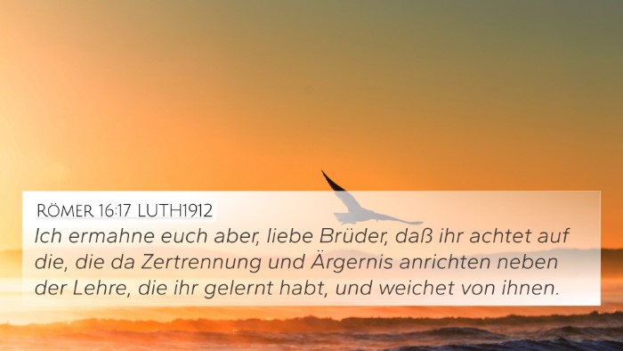 Römer 16:17 LUTH1912 Bible Verse Image