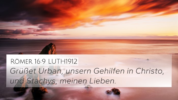 Römer 16:9 LUTH1912 Bible Verse Image