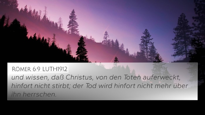 Römer 6:9 LUTH1912 Bible Verse Image
