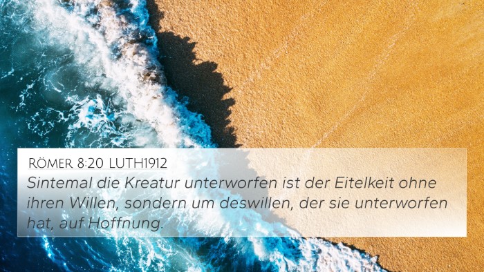 Römer 8:20 LUTH1912 Bible Verse Image