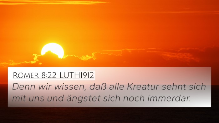 Römer 8:22 LUTH1912 Bible Verse Image