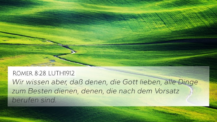 Römer 8:28 LUTH1912 Bible Verse Image
