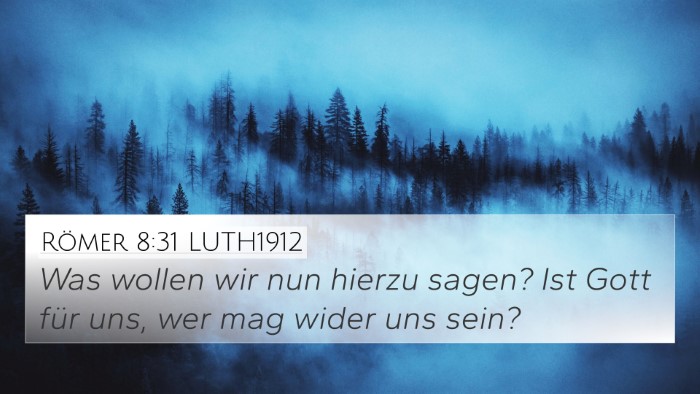 Römer 8:31 LUTH1912 Bible Verse Image