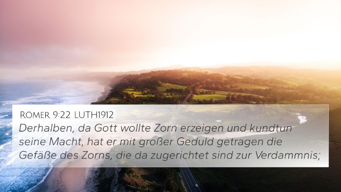 Römer 9:22 LUTH1912 Bible Verse Image