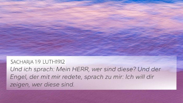 Sacharja 1:9 LUTH1912 Bible Verse Image