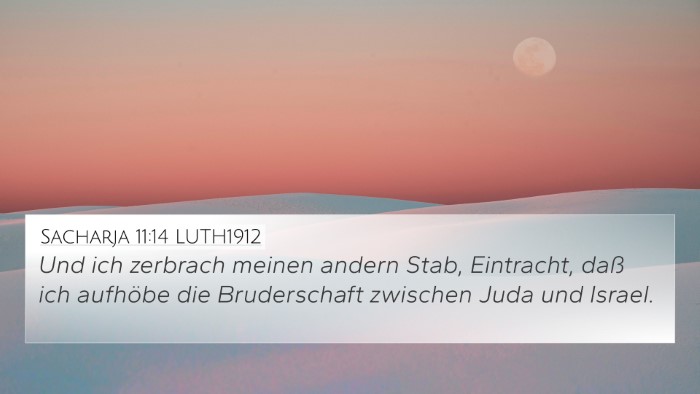 Sacharja 11:14 LUTH1912 Bible Verse Image