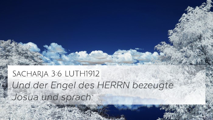 Sacharja 3:6 LUTH1912 Bible Verse Image