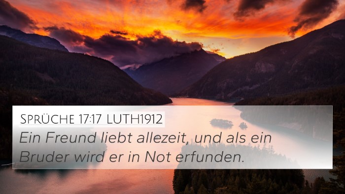 Sprüche 17:17 LUTH1912 Bible Verse Image