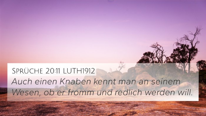 Sprüche 20:11 LUTH1912 4K Wallpaper - Auch einen Knaben kennt man an seinem Wesen, ob - 4K Wallpaper Bible Verse