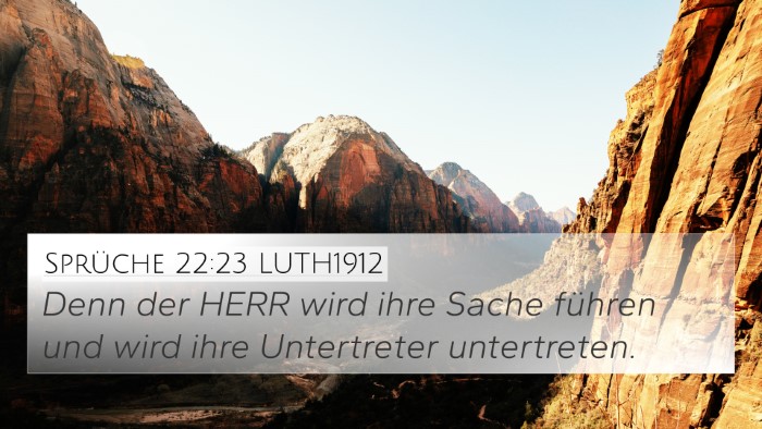 Sprüche 22:23 LUTH1912 Bible Verse Image