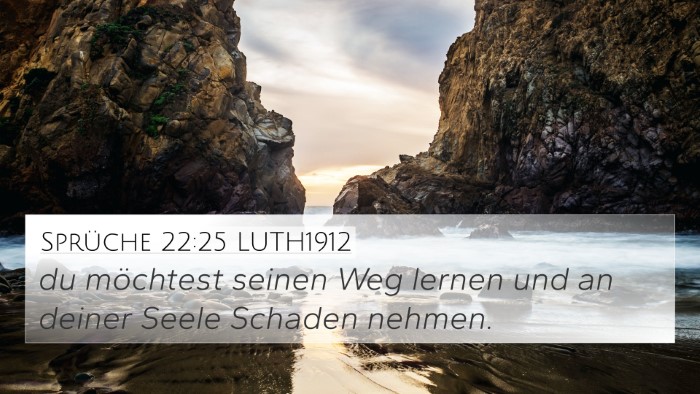 Sprüche 22:25 LUTH1912 4K Wallpaper - du möchtest seinen Weg lernen und an deiner - 4K Wallpaper Bible Verse