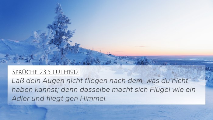 Sprüche 23:5 LUTH1912 Bible Verse Image