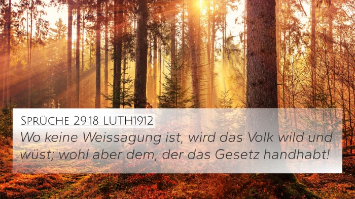 Sprüche 29:18 LUTH1912 Bible Verse Image