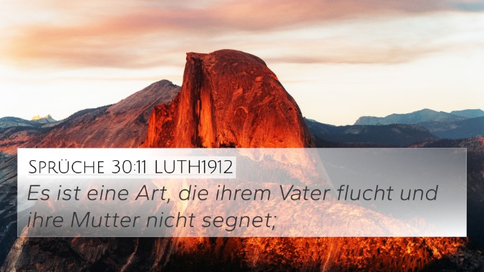 Sprüche 30:11 LUTH1912 Bible Verse Image