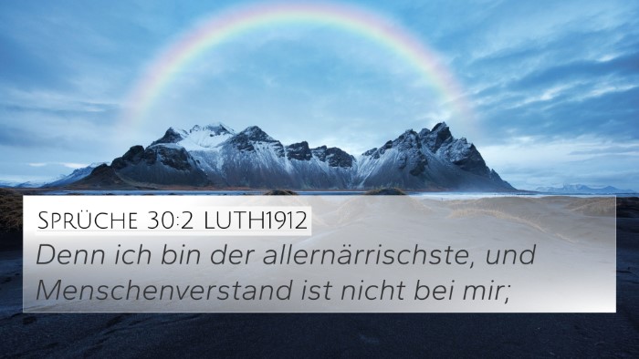 Sprüche 30:2 LUTH1912 Bible Verse Image