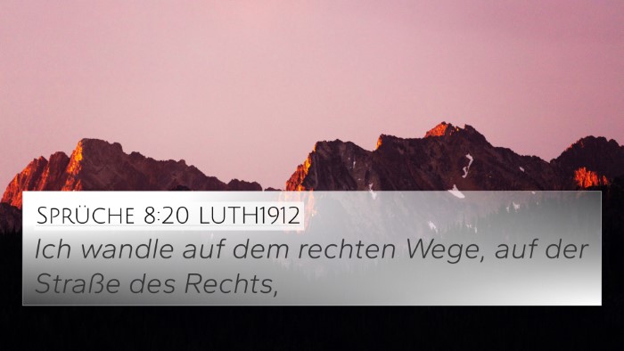 Sprüche 8:20 LUTH1912 Bible Verse Image