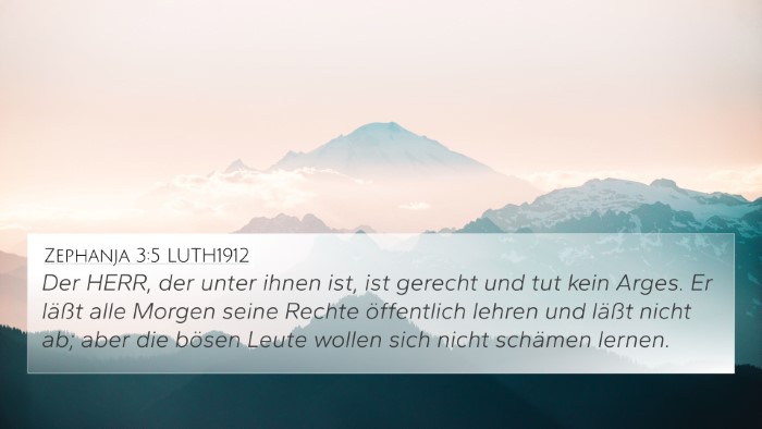 Zephanja 3:5 LUTH1912 Bible Verse Image