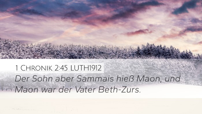 1 Chronik 2:45 LUTH1912 Bible Verse Image