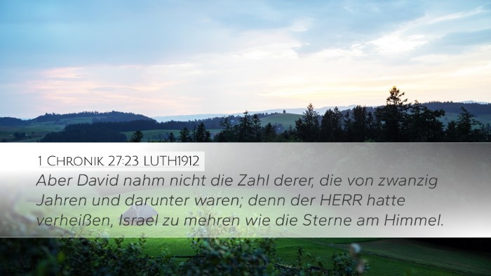 1 Chronik 27:23 LUTH1912 Bible Verse Image