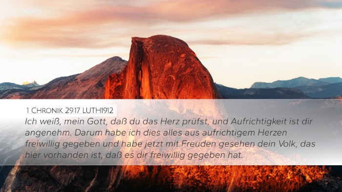 1 Chronik 29:17 LUTH1912 Bible Verse Image