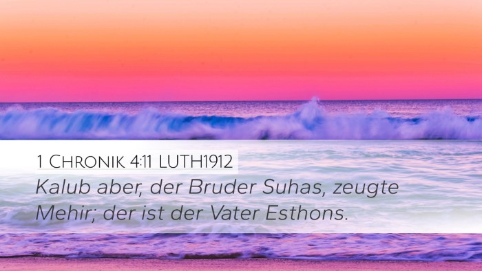1 Chronik 4:11 LUTH1912 Desktop Wallpaper - Kalub aber, der Bruder Suhas, zeugte Mehir; der - Desktop Bible Verse Wallpaper