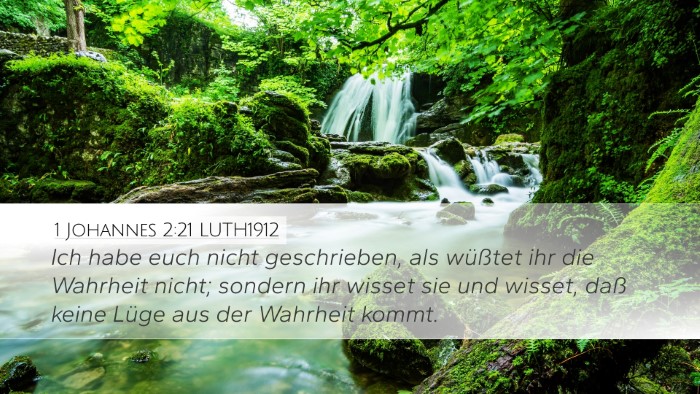 1 Johannes 2:21 LUTH1912 Bible Verse Image