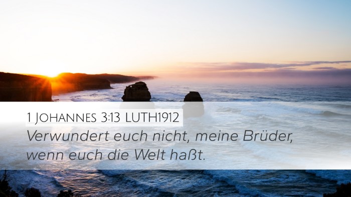1 Johannes 3:13 LUTH1912 Bible Verse Image