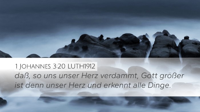 1 Johannes 3:20 LUTH1912 Bible Verse Image