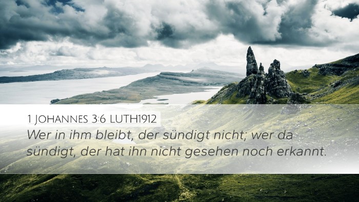 1 Johannes 3:6 LUTH1912 Bible Verse Image