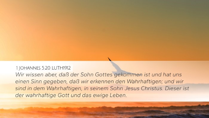 1 Johannes 5:20 LUTH1912 Bible Verse Image
