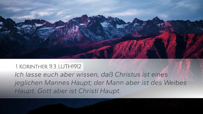 1 Korinther 11:3 LUTH1912 Bible Verse Image