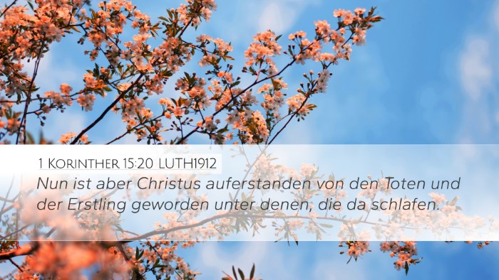 1 Korinther 15:20 LUTH1912 Bible Verse Image
