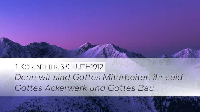 1 Korinther 3:9 LUTH1912 Bible Verse Image
