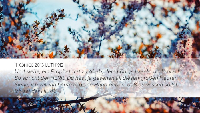 1 Könige 20:13 LUTH1912 Bible Verse Image