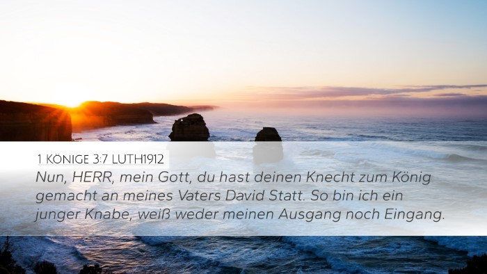 1 Könige 3:7 LUTH1912 Bible Verse Image