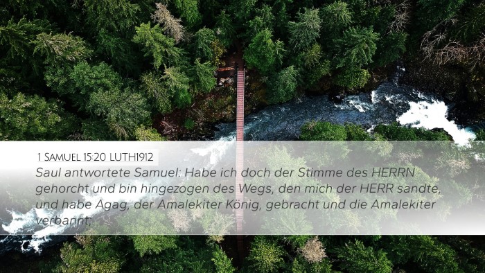1 Samuel 15:20 LUTH1912 Desktop Wallpaper - Saul antwortete Samuel: Habe ich doch der Stimme - Desktop Bible Verse Wallpaper