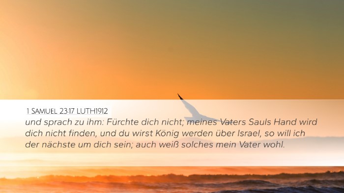 1 Samuel 23:17 LUTH1912 Bible Verse Image