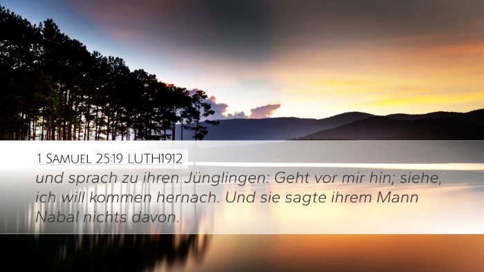 1 Samuel 25:19 LUTH1912 Bible Verse Image