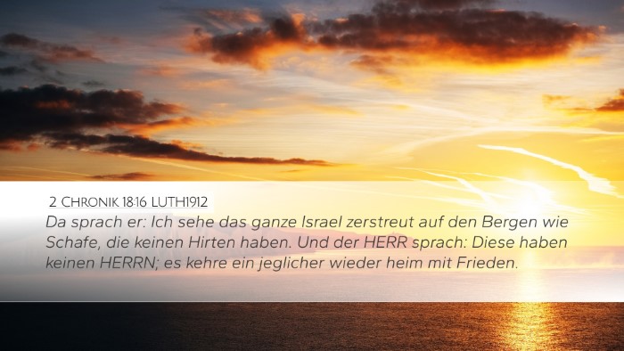 2 Chronik 18:16 LUTH1912 Bible Verse Image
